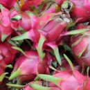 김중환농장 이미지