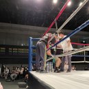 대동복싱 이미지