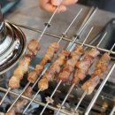 태양부양꼬치 네이버블로그