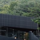 스테이 선명 이미지