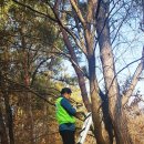 흑석동산성 타임뉴스