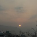 동락월드주 | 누가보면 크리스마스 연말이야 ㅎ