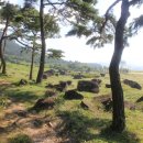 고인돌안내소 이미지