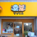 댕냥잇츠 | [화명동 강아지 간식] 직접 만든 강아지 수제 간식 &#39;댕냥잇츠&#39; 쇼핑 후기