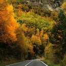 주사무소 이미지