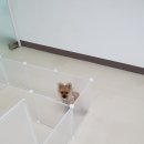 맡겨보개 이미지