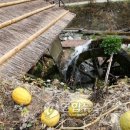 물레방아 이미지