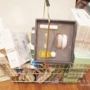 일가약국 이미지