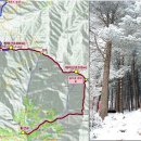 2월 정기산행 - 청태산&amp;대미산 이미지