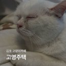 고영주택 | [김포 카페] 고영주택 주말 오후 예약 방문_꾹꾹이 직관 후기