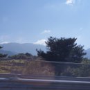침곡리 입구 Daum카페
