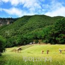 정선 아리랑 주막 투어코리아