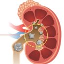 소문난비뇨의학과의원 이미지
