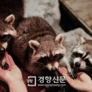 아쿠아플라넷 여수 이미지