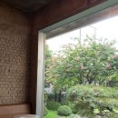 서교한옥 | 곳] 빗소리와 함께하는 조용한 망원동 통창 카페, 앤트러사이트 서교점 솔직 후기 (주차, 영업시간, 꿀팁)