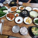 황토우렁이 이미지