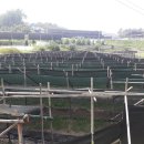 만평부동산중개사무소 이미지