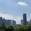 유엠메디칼 네이버블로그