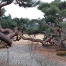 금빛투어 이미지