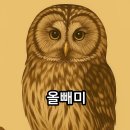 7월28일 공학여지도204 : 부엉이 / 올빼미 / 소쩍새 이미지