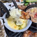 아름애견 이미지