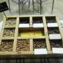 제주커피박물관 바움 이미지