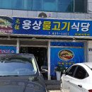 용상물고기식당