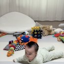 11650-17-196-19 | 육아 일상 아기 193일~199일 (일룸 쿠시노 올인원 아기침대, 독감 1차 접종, 이유식 순항 중)