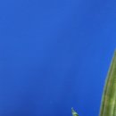 평화치과의원 이미지