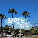 신상 애월 베이커리 카페 라망드제주 내돈내산 후기