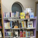 장기면 양포 작은도서관 이미지