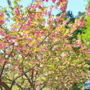 중앙공원 산책로 이미지