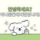 행복을찾는동물병원 | 천호동 동물병원, 예방접종부터 생활 상담까지 믿고 찾는 이유