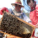 조태형농장 이미지