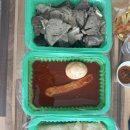 우리할매떡볶이무실점 이미지