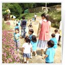 원주곤충마을박물관 이미지