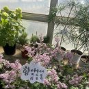 양재화훼공판장 화장실 이미지