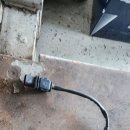 옥과카센타 이미지