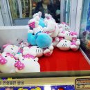 뽑생뽑사 이미지