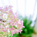 예진꽃농원 이미지