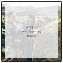 서울튼튼정형외과의원 네이버블로그