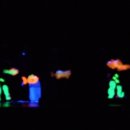 무지개물고기 이미지