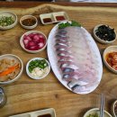 제주도 동문올레수산 고등어 딱새우 회 (내돈내산 솔직후기)