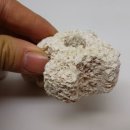 한신트레이딩 이미지