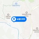 뉴월드비자