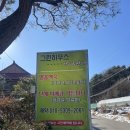 곤지암여행 그린하우스펜션 겨울 여행지 다녀왔어요