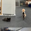 멍굴멍굴 이미지