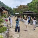 명상기공 | 영지명상 후기