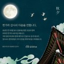달빛치과의원 네이버블로그