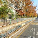 상오정로182번길 이미지